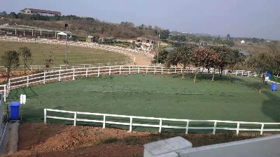 新邑航公司開展年末團建